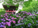 能護寺