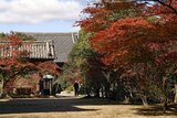 太山寺